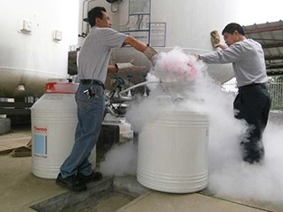 食品级向日葵视频黄色版